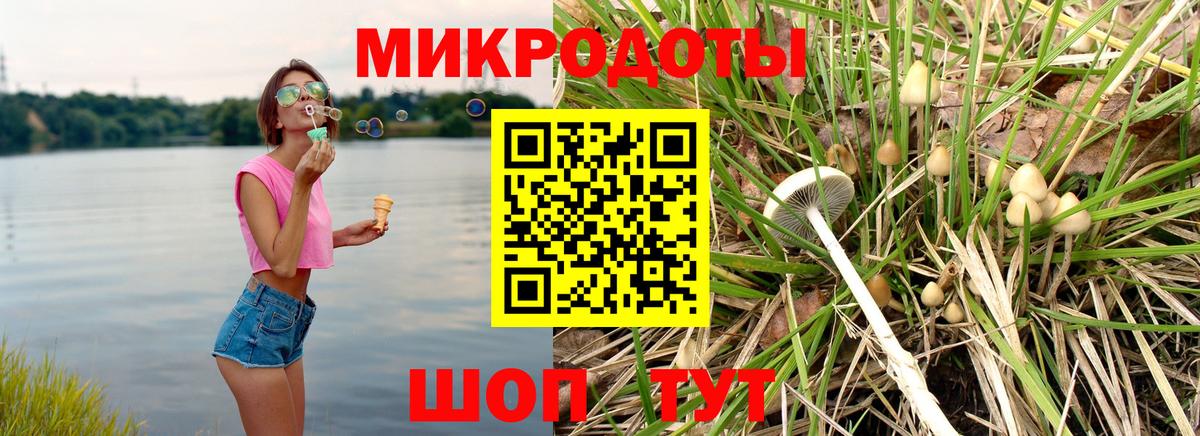 Псилоцибиновые грибы Psilocybine cubensis  Вход с VPN  Югорск 